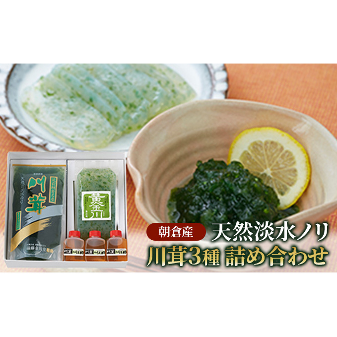 のり 海苔 珍味 川茸の詰め合わせ 遠藤金川堂 淡水海苔 天然 高級天然淡水ノリ 加工食品 調味料 福岡県朝倉市15000鍋セット・総菜・加工食品その他 鍋セット・総菜・加工食品