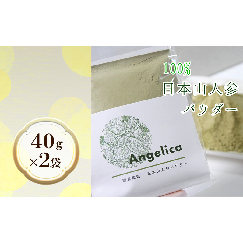★希少★日本山人参(葉と茎の粉末) 2袋 飲料類 お茶 野菜/人参 福岡県朝倉市18000お茶・飲料お茶