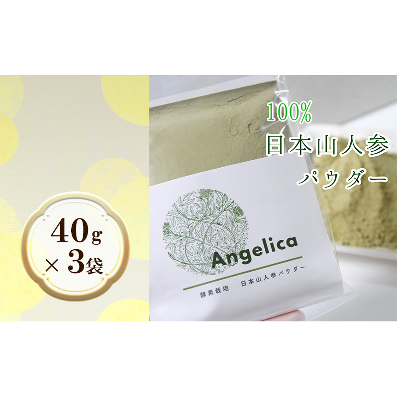 ★希少★日本山人参パウダー40g×3袋 飲料類 お茶 野菜/人参 福岡県朝倉市22000お茶・飲料お茶