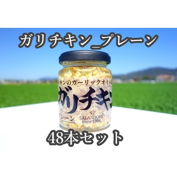 48{ZbgyK`L-v[z`L̃K[bNICЂ_v[iWTCY110gj  ʋl qs102000EhbVO