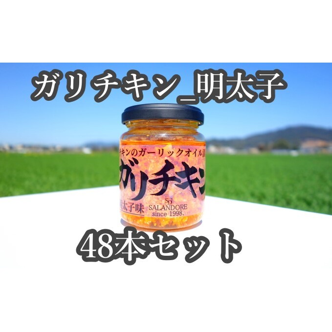 ★48本セット★【ガリチキン-明太子味】チキンのガーリックオイル漬け_明太子味(標準サイズ110g) 調味料 缶詰 福岡県朝倉市102000調味料・油ドレッシング