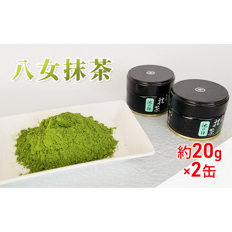 八女茶 約20g×2缶 粉末 粉末茶 お茶 星野 本格派抹茶 抹茶 福岡県朝倉市18000お茶・飲料お茶