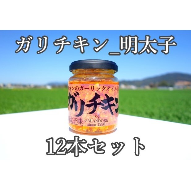 K`L q 110g×12{   ʋl qs31000Ȇ E