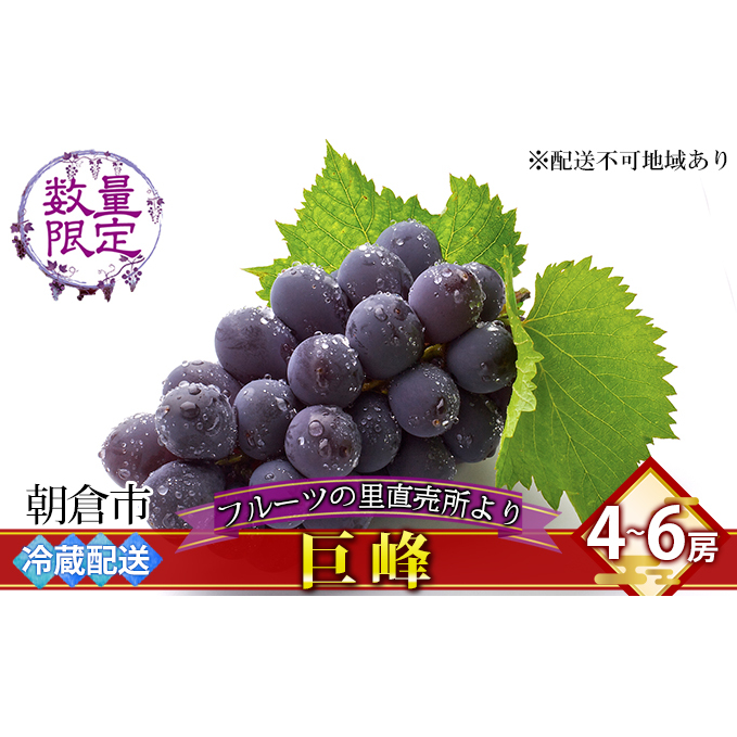 フルーツの里の直売所より 巨峰 果物類 ぶどう ※配送不可:離島福岡県朝倉市17000果物・フルーツマスカット・ぶどう