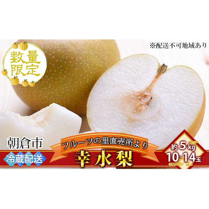 フルーツの里の直売所より 幸水梨 5kg 九州の梨 天然の甘み 安心 安全 お歳暮 ギフト ※配送不可:離島福岡県朝倉市23000果物・フルーツりんご・梨