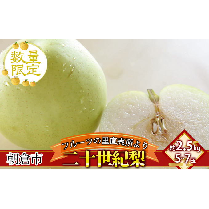 フルーツの里の直売所より 二十世紀梨 2.5kg ナシ 果物 先行予約 福岡県朝倉市14000果物・フルーツりんご・梨