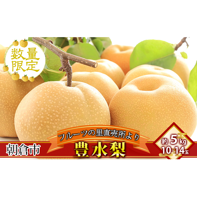 フルーツの里の直売所より 豊水梨 5kg ナシ 果物 先行予約 福岡県朝倉市21000果物・フルーツりんご・梨