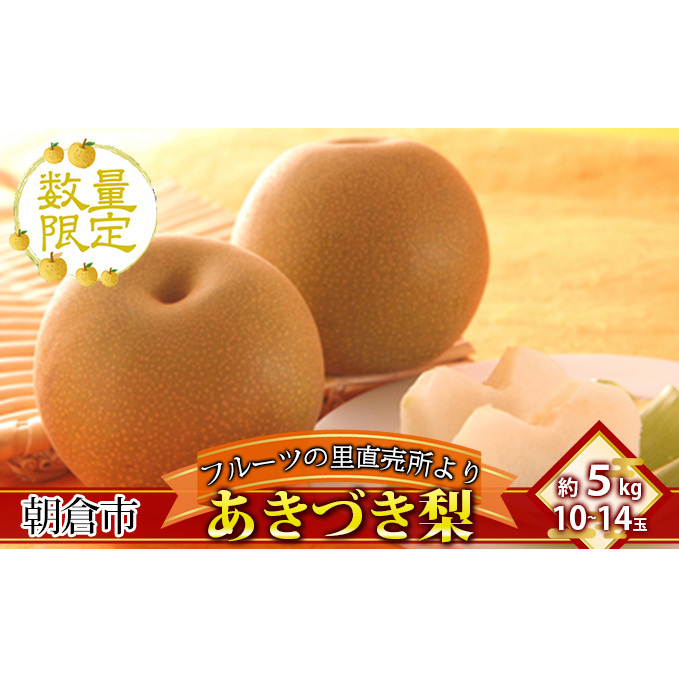 フルーツの里の直売所より あきづき梨 5kg ナシ 果物 先行予約 福岡県朝倉市21000果物・フルーツりんご・梨