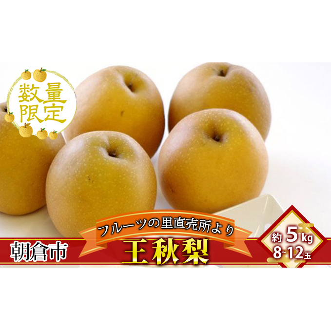 フルーツの里の直売所より 王秋梨 5kg ナシ 果物 先行予約 福岡県朝倉市20000果物・フルーツりんご・梨