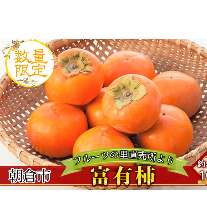 ` xL` 10`16 (3`4kg) t[c̗̒ ʕ  Â TNTNH Ê`̉l  q qs16000ʕEt[c̑ ʕEt[c