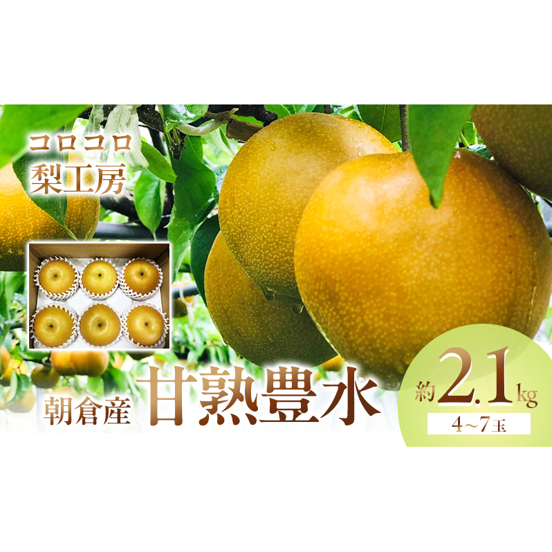 梨 豊水 まるで食べる梨ジュース!! 甘熟 豊水梨 約2.1kg 4〜7玉入 配送不可 離島 ナシ 果物 フルーツ 先行予約 福岡県朝倉市15000果物・フルーツりんご・梨