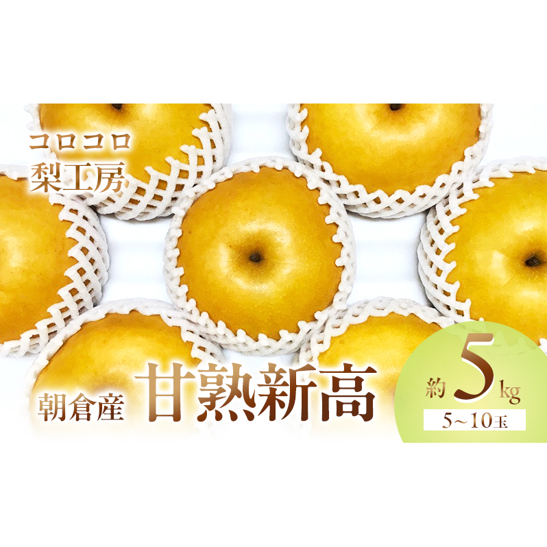  V Ïn ɎMII5kg 5`10ʓ zs  iV ʕ t[c s\ qs25000ʕEt[c񂲁E