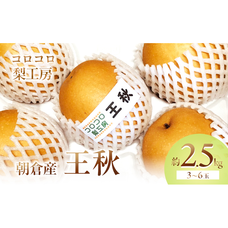 梨 王秋梨 まるで食べる梨ジュース!!約2.5kg 3〜6玉入 ナシ 果物 フルーツ 先行予約 福岡県朝倉市17000果物・フルーツりんご・梨