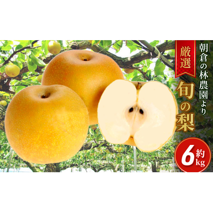 梨 朝倉産 旬の梨 約6kg 林農園 配送不可 離島 ナシ 果物 フルーツ 先行予約 福岡県朝倉市27000果物・フルーツりんご・梨