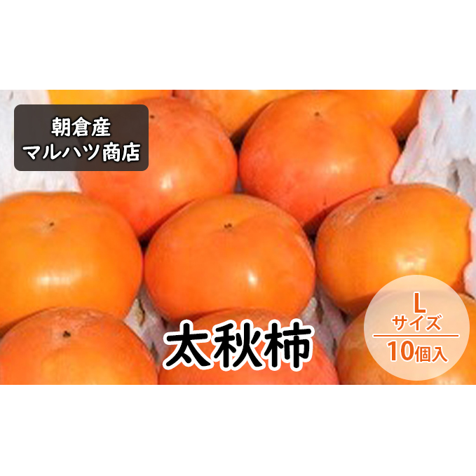 柿 太秋柿 Lサイズ×10個入 マルハツ商店 配送不可:離島 果物類 かき 福岡県朝倉市14000果物・フルーツその他 果物・フルーツ