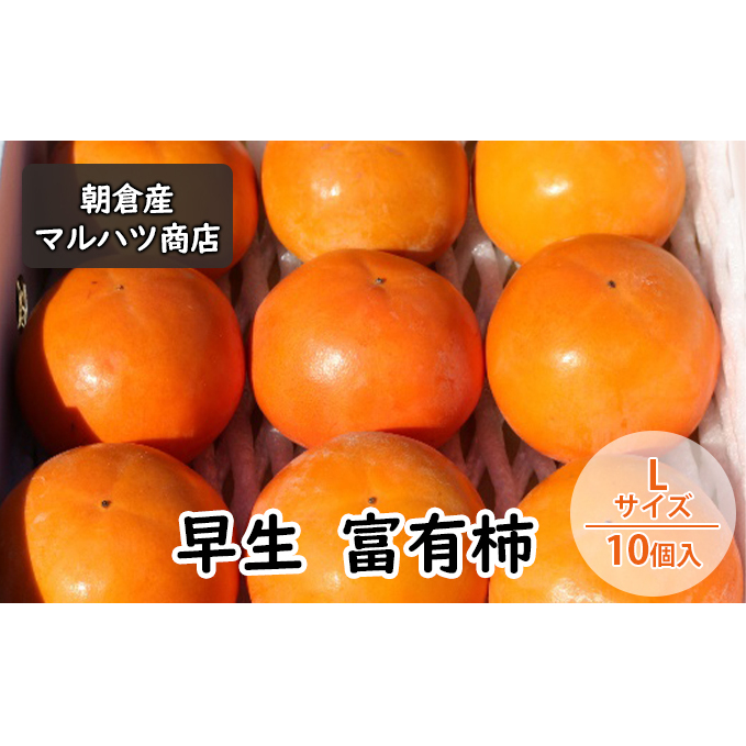 ` xL`  LTCY×10 }ncX ʕ  qs12000ʕEt[c̑ ʕEt[c