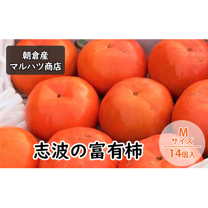 ` ug̕xL` MTCY×14 }ncX ʕ  qs12000ʕEt[c̑ ʕEt[c