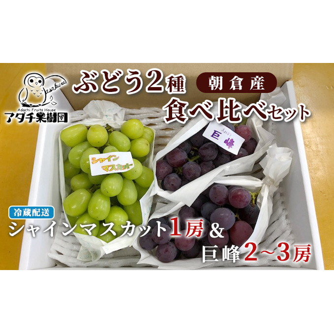 シャインマスカット 1房 巨峰 2〜3房 ぶどう 食べ比べ セット 2種類 配送不可 離島 フルーツ 果物類 高級フルーツ 福岡県朝倉市17000果物・フルーツマスカット・ぶどう