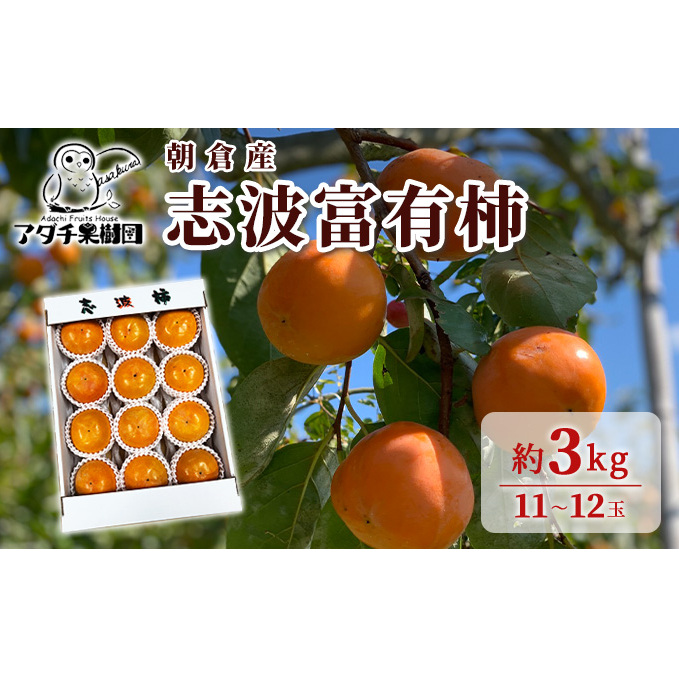 ` ug xL` 3kg 11`12 ʕ  qs14000ʕEt[c̑ ʕEt[c