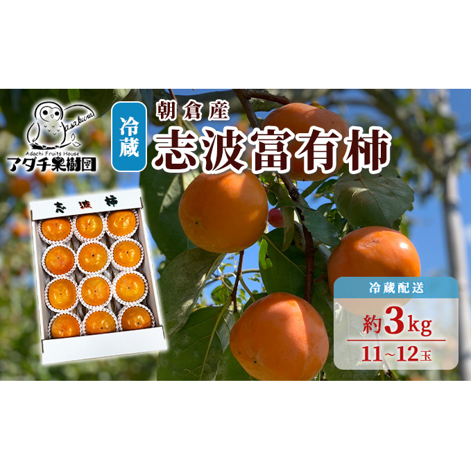 柿 志波 富有柿 冷蔵 約3kg 11〜12玉 配送不可 離島 果物類 かき 福岡県朝倉市15000果物・フルーツその他 果物・フルーツ
