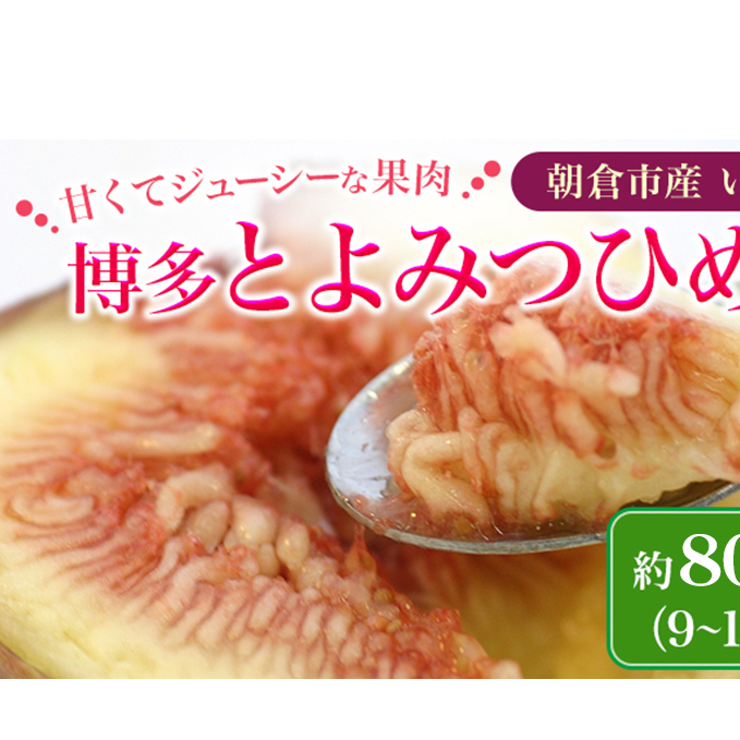 いちじく フルーツ とよみつひめ 約800g 2026年 発送 博多 加温 プレミアムいちじく 果物 くだもの デザート 筑前あさくら農協 配送不可 離島 福岡県朝倉市16000果物・フルーツその他 果物・フ