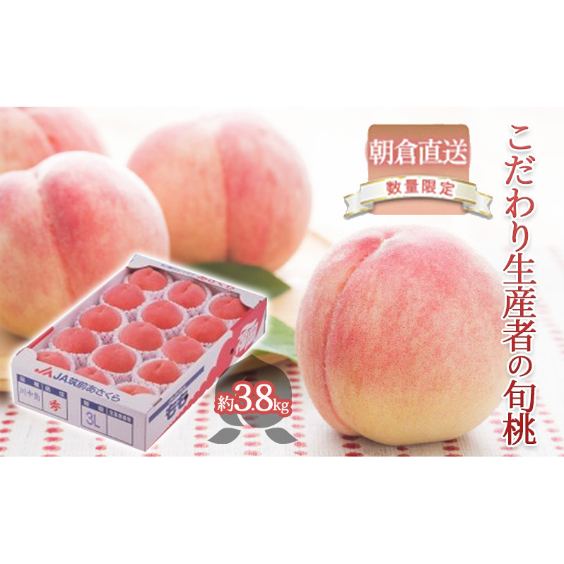      3.8kg 2026N  t[c ʕ  fU[g }O_ ICό zs qs21000ʕEt[cE