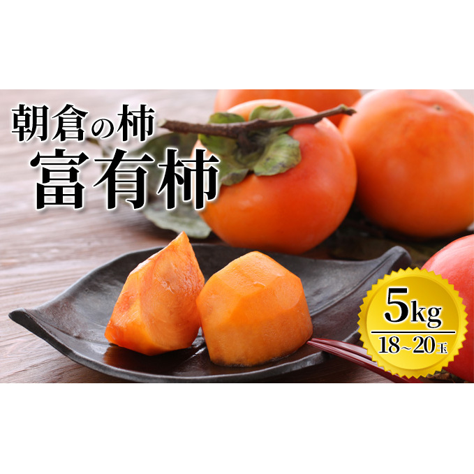 ` xL` 5kg }O_ zs  ʕ  qs14000ʕEt[c̑ ʕEt[c