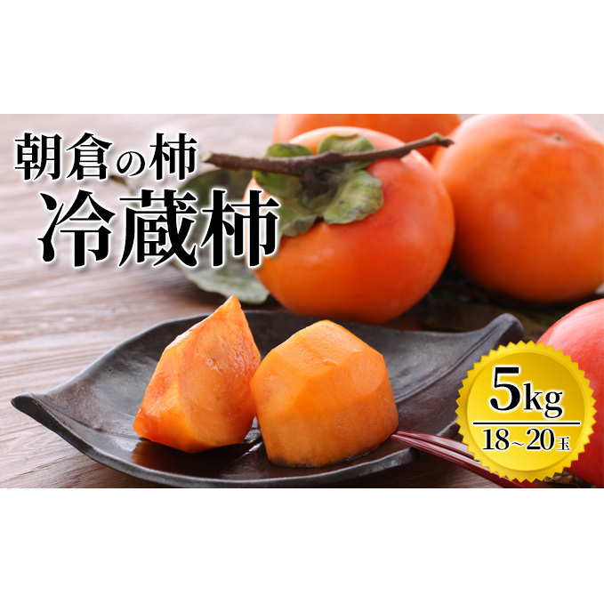 ` ①` 5kg }O_ zs  ʕ  qs16000ʕEt[c̑ ʕEt[c