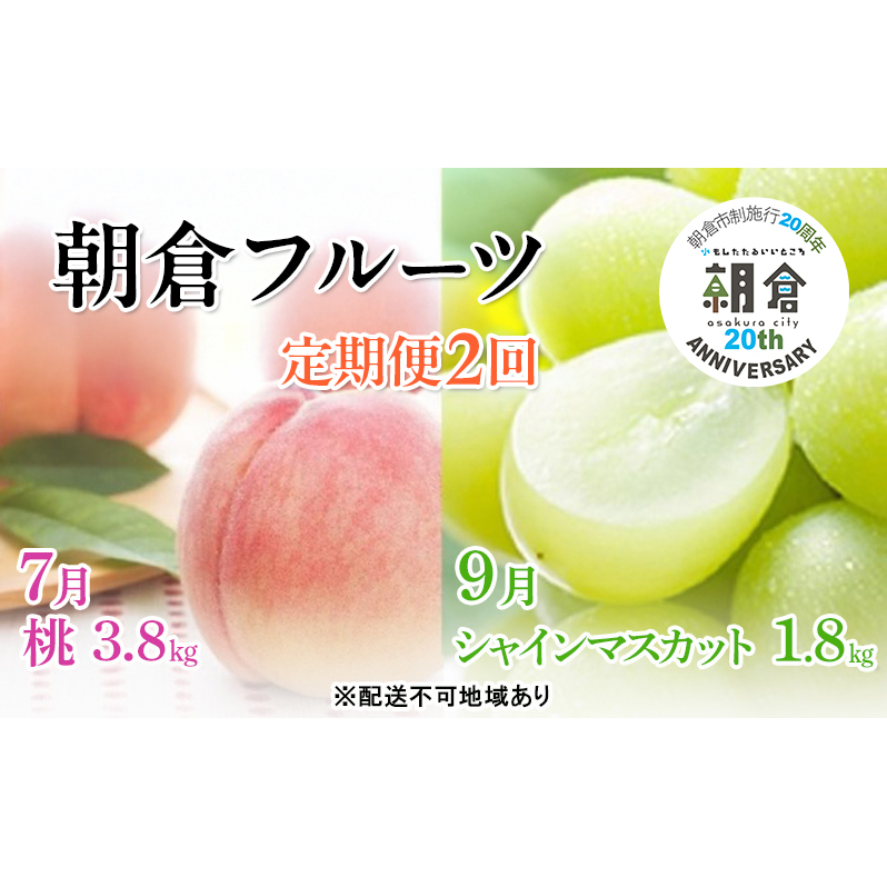 yqs{s20NLOz   2  VC}XJbg 2025N  t[c Ẵt[c ʕ   }XJbg fU[g q zs q