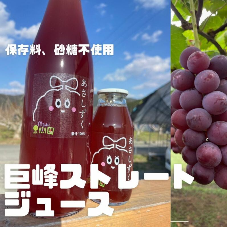 無添加 巨峰 ストレート ジュース 朝雫〜AsaShizuku〜 果汁飲料 野菜飲料 ぶどうジュース ブドウ 福岡県朝倉市11000お茶・飲料果汁・野菜飲料