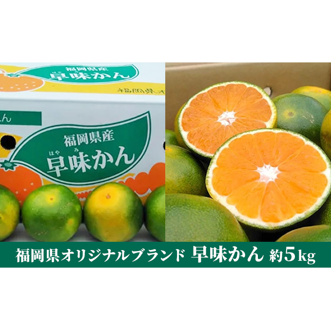 福岡限定 オリジナルブランド みかん「早味かん」約4kg【配送不可:離島】 果物類 柑橘類 フルーツ 福岡県朝倉市23000果物・フルーツみかん・柑橘類