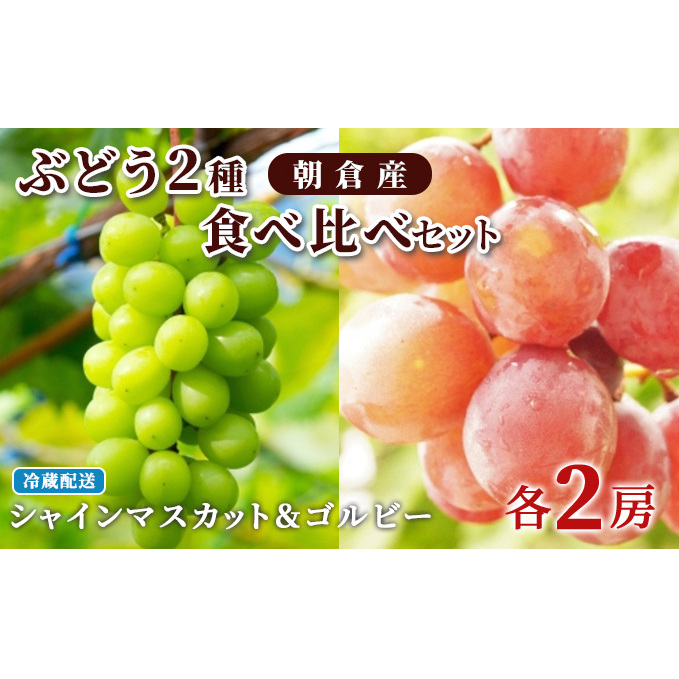 ぶどう シャインマスカット 2房 ゴルビー 2房 食べ比べ 約2kg 配送不可 離島 果物類 フルーツ 果物 福岡県朝倉市18000果物・フルーツマスカット・ぶどう