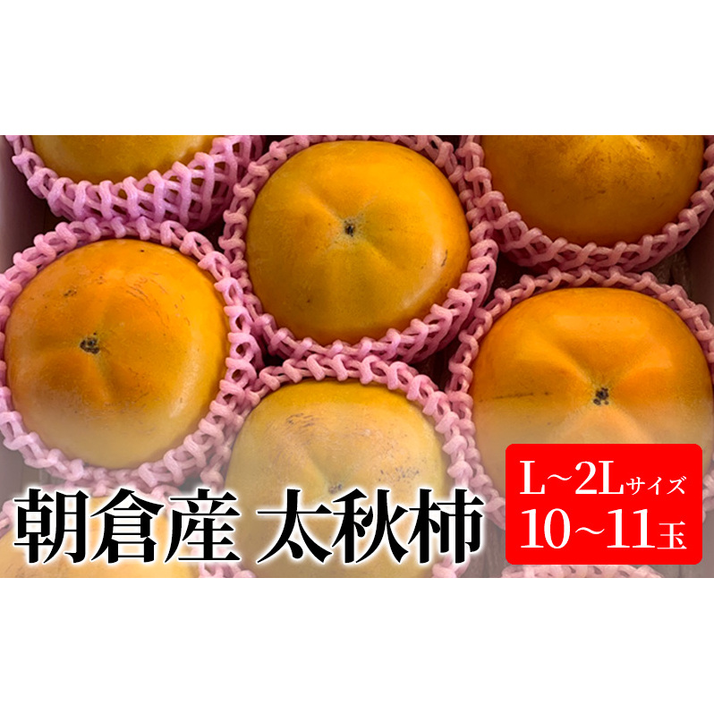 柿 太秋柿 L〜2Lサイズ 10〜11玉入 かき カキ 果物 くだもの フルーツ 福岡県朝倉市14000果物・フルーツその他 果物・フルーツ