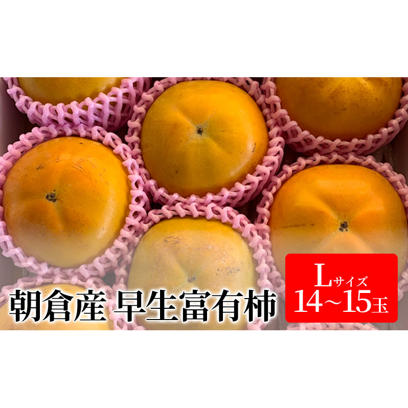 ` xL`  LTCY 14`15ʓ  JL ʕ  t[c qs12000ʕEt[c̑ ʕEt[c