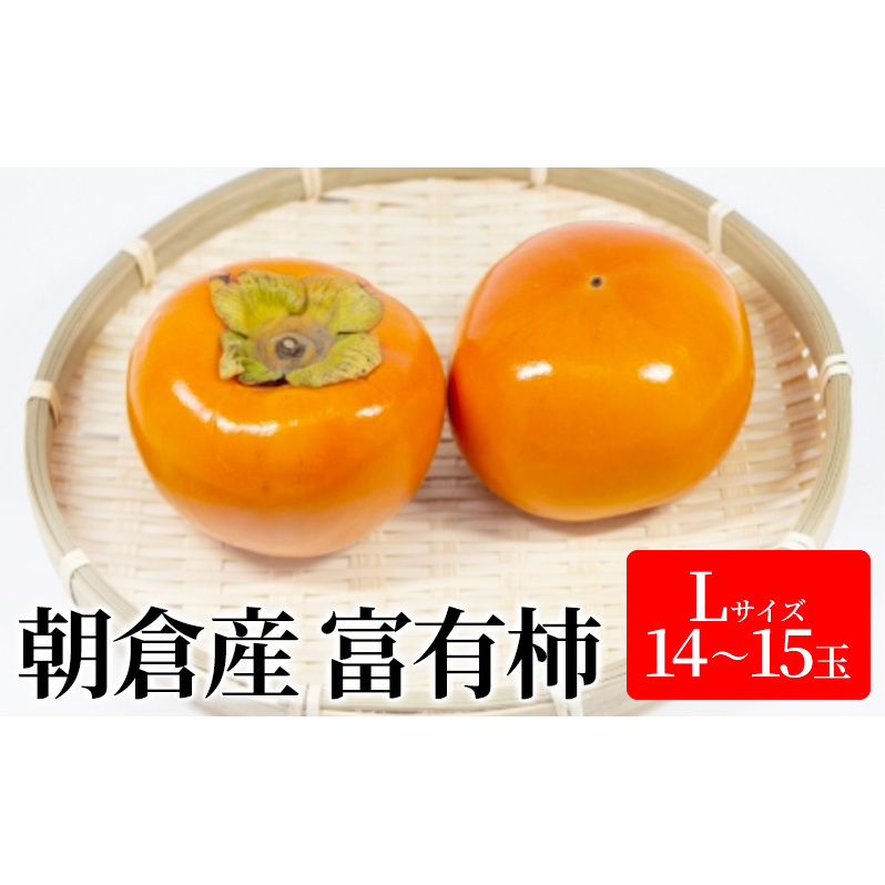 柿 富有柿 Lサイズ 14〜15玉入 かき カキ 果物 くだもの フルーツ 福岡県朝倉市12000果物・フルーツその他 果物・フルーツ