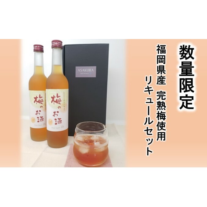 【数量限定】梅のお酒 500ml×2本セット 洋酒 リキュール 福岡県朝倉市14000酒・アルコールウイスキー・洋酒・リキュール