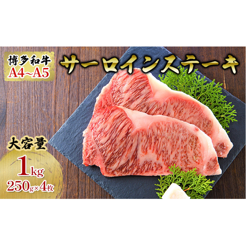 a A4`A5 T[CXe[LZbg 1000gi250g×4j͂FmF2Tԁ`1J zsF qs32000