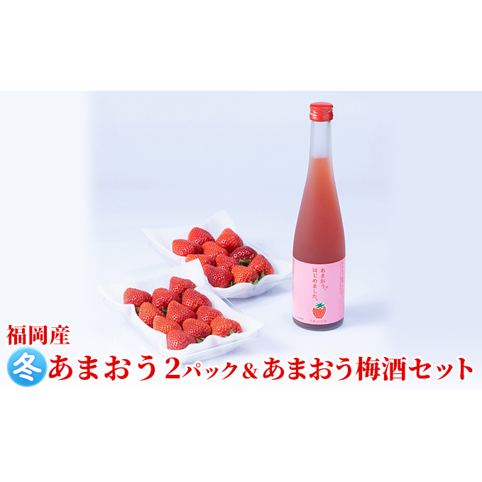 いちご あまおう 2パック 冬&あまおう梅酒 あまおうはじめました。 500ml×1本セット 配送不可 離島 お酒 アルコール 苺 フルーツ 飲み会 甘いお酒 宅飲み 果物 詰め合わせ 福岡県朝倉市17000