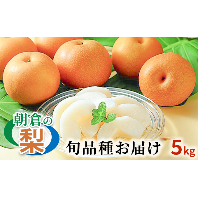  G߂̒q̗ 5kg 6-18 zs  ʕ t[c fU[g  Y qsY H̖o K L H V 쐅 qs19000ʕEt[c񂲁E