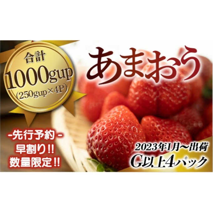福岡県産 あまおう G以上 1000g(4パック)先行予約 2023年1月〜3月末発送予定 ※配送不可:離島 果物 フルーツ いちご デザート 食後 おやつ 特大Gサイズ 濃縮 大粒いちご 朝倉市産 福岡県朝倉