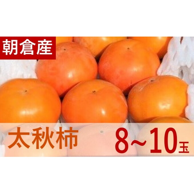 H` 3kgi8`10ʁj ʕ t[c fU[g  H H̖o H̃t[c SÊ` TNTN H Y qsY qs17000ʕEt[c̑ ʕEt[c