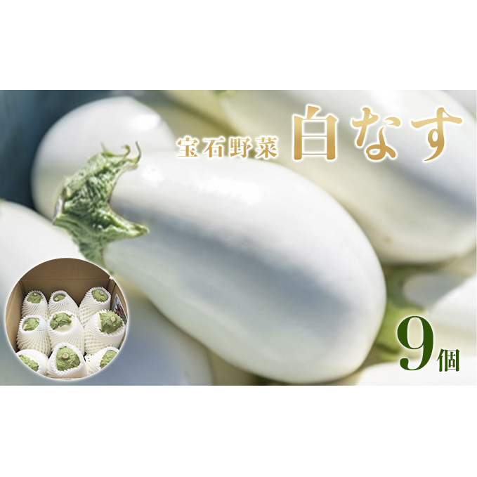 なす ナス 白なす 宝石野菜 9個入 茄子 絶品 果肉 軟らかい アク 少ない 癖がない トロトロ 福岡県朝倉市12000野菜・きのこその他 野菜