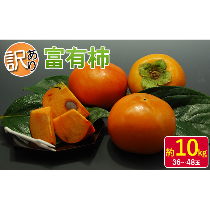 󂠂 ` xL` 10kg 36`48 ICό zs  ʕ t[c H̖o { fU[g ʎ `̉l Ê` \i q̊`  qs21000ʕEt[c