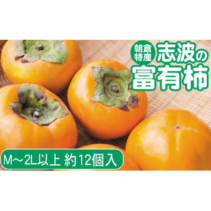 2025年先行予約 志波の富有柿 M〜2Lサイズ×約12個入 発送予定:2025年11月20日〜12月25日 ※配送不可:離島 果物 フルーツ 秋の味覚 おやつ デザート 産地直送 ブランド 柿の王様 福岡県産 朝倉