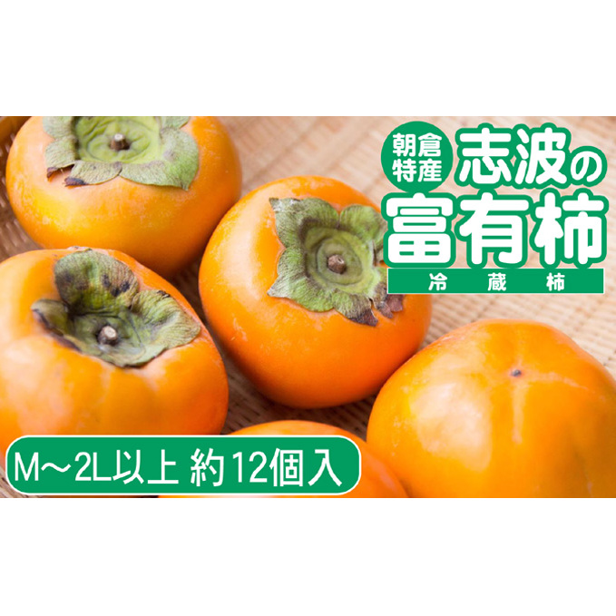 2025年先行予約 志波の富有柿 M〜2Lサイズ×約12個入(冷蔵)発送予定:2025年12月20日〜2026年1月31日 ※配送不可:離島 果物 フルーツ 秋の味覚 おやつ デザート 産地直送 ブランド 柿の王様 福
