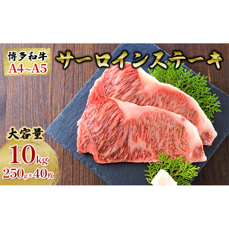  T[CXe[L v10kg a A4`A5 Zbg 250g×40 zsF qs300000