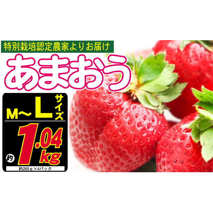あまおう M〜L 約1.04kg 約260g×4パック ※配送不可:北海道・東北・沖縄・離島 果物 苺 フルーツ デザート 旬 大粒 M〜L以上 旬のあまおう 福岡の特産品 福岡県朝倉市16000果物・フルーツいちご