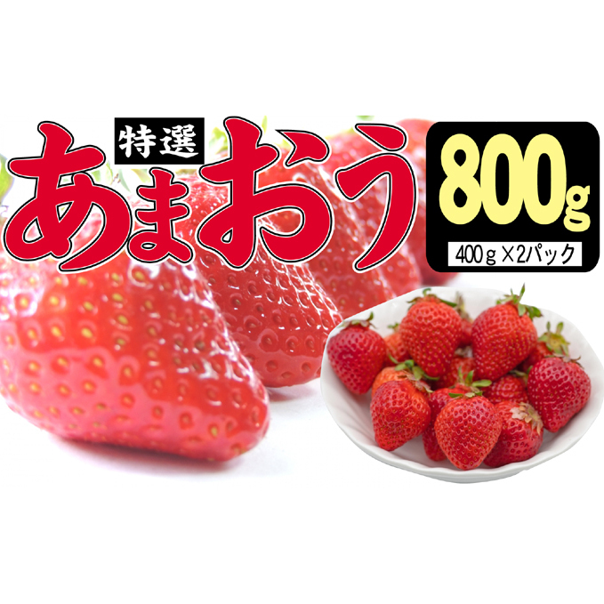  2025N12蔭 I܂ 800gzsF ʕ t[c fU[g H ʍ͔| ō  p 蕨 Y Y {Y qs18000ʕEt[c