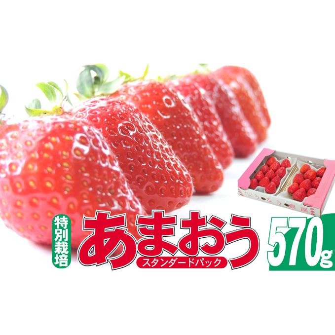 いちご 2025年12月より発送 うるう農園のあまおう スタンダード2パック 約570g※配送不可:離島 果物 フルーツ デザート 食後 特別栽培 福岡県産 国産 日本産 福岡県朝倉市12000果物・フルーツ