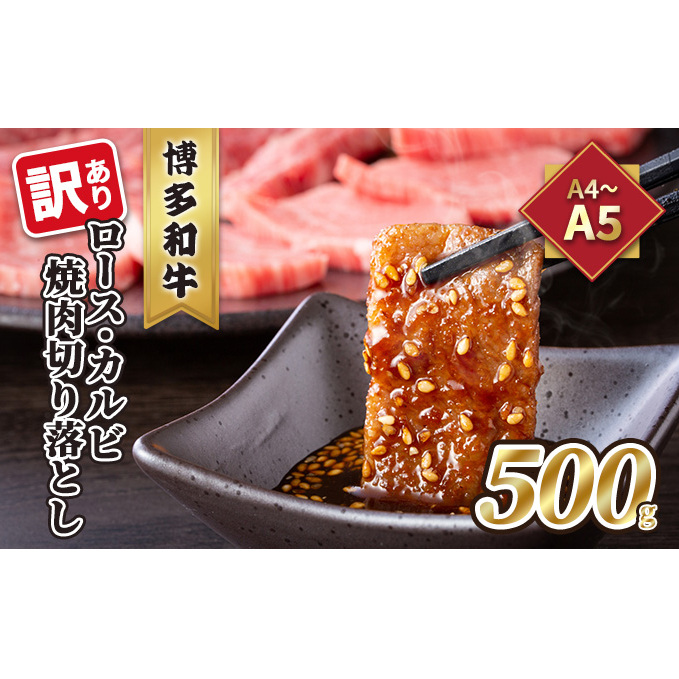 󂠂IA4`A5 a [XEJr ē ؂藎Ƃ 500g zs    ㎿qs14500